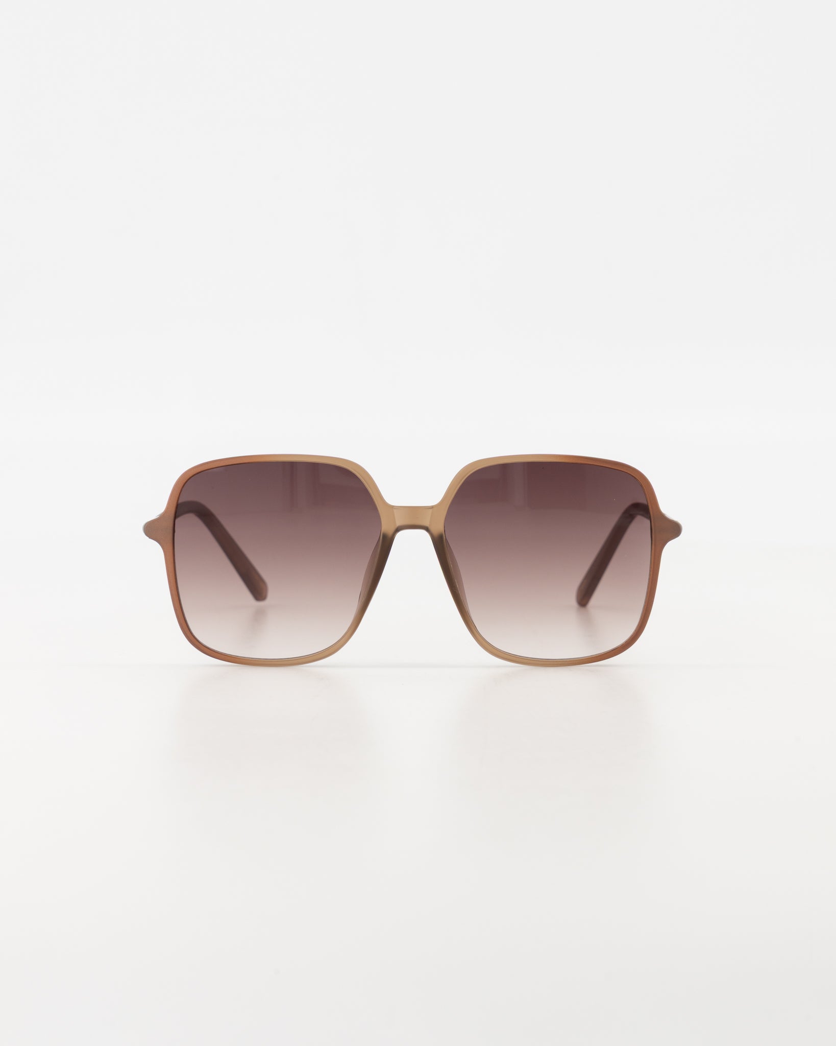 Malibu Resin Brons Sunglasses | Pre order 05/03