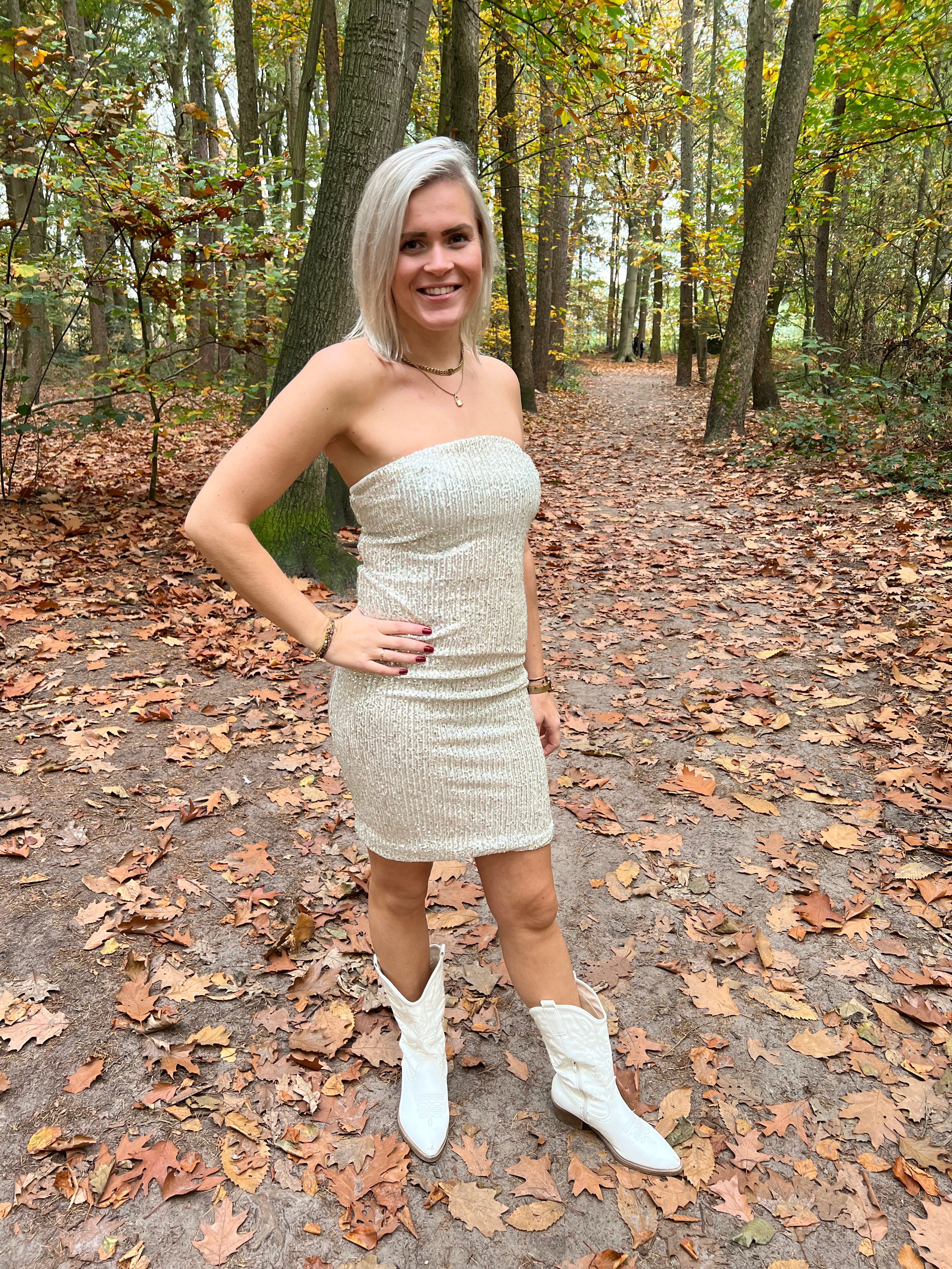 Glitter Tube Dress Champagne