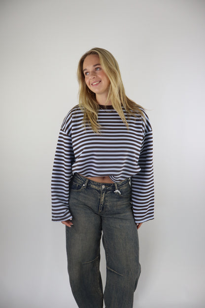 Ambika Striped Sweater Brown/Blue