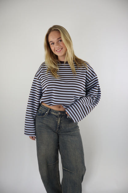 Ambika Striped Sweater Brown/Blue