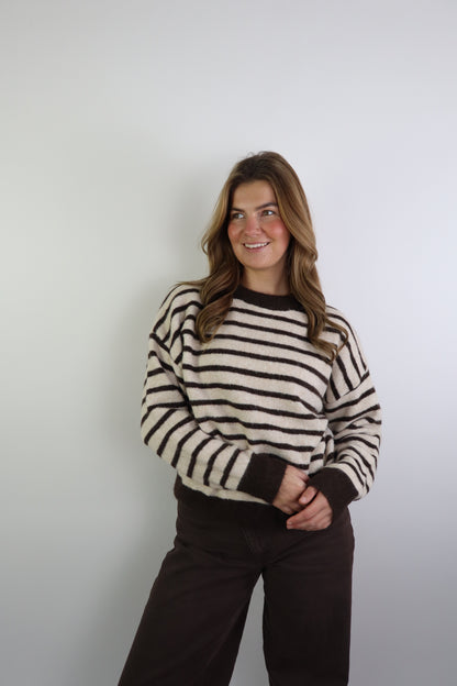 Djowena Striped Sweater Bruin/Beige