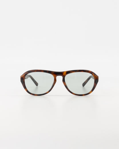Capri Resin Tortoise Sunglasses