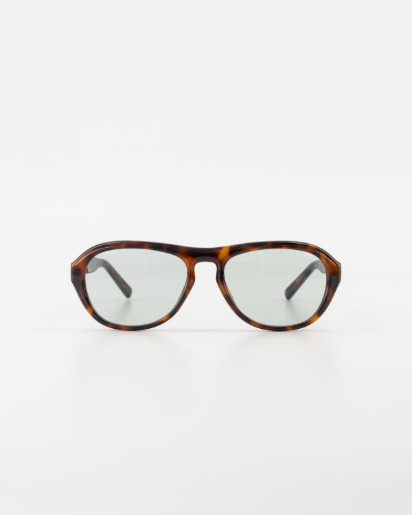 Capri Resin Tortoise Sunglasses