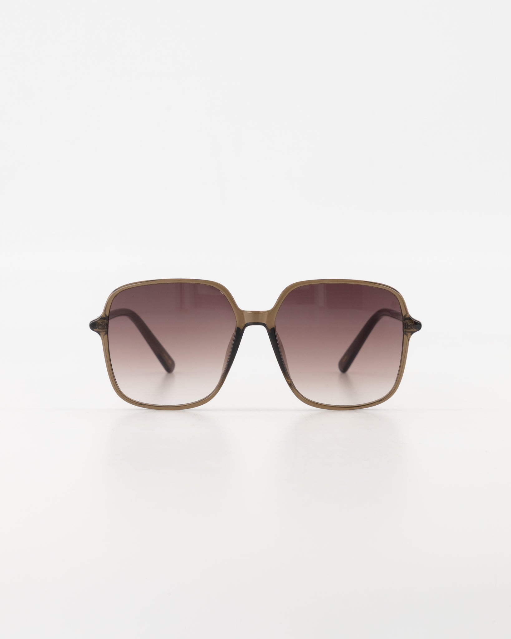 Malibu Resin Espresso Sunglasses | Pre order 05/03